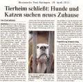 110418 Thierheim schließt: Hunde und Katzen suchen neues Zuhause